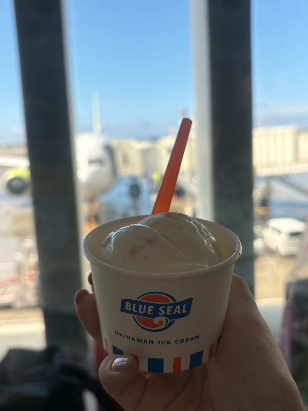공항 창가에서 든 블루씰 아이스크림, 뒤로 비행기